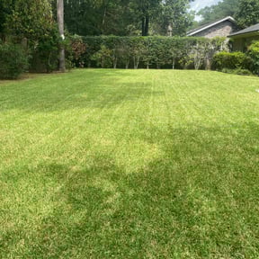 yard service by Green River Landscape, LLC reviewed on December 18, 2025