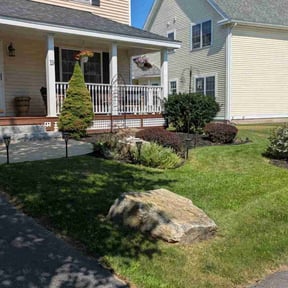 yard service by SS Junk Removal and Hauling reviewed on December 3, 2025