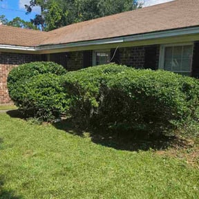 Bush Trimming by GreenCut Lawn Care reviewed on November 26, 2025