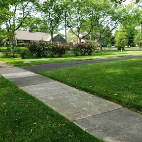 landscaping by Lawn Care Professionals reviewed on August 17, 2025