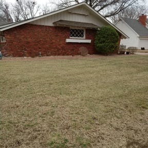 Bush Trimming by Gibson Property LLC reviewed on August 14, 2025