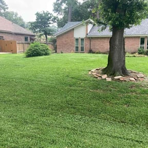 yard work by Lawn man care llc reviewed on August 21, 2025