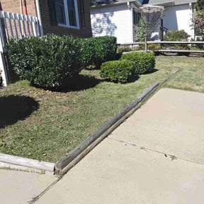 Bush Trimming by Big Horn Landscaping reviewed on March 4, 2024