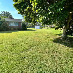 yard work by J&B Landscaping reviewed on August 17, 2025