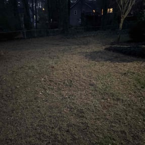 Leaf Removal by Martinez landscaping reviewed on January 22, 2026