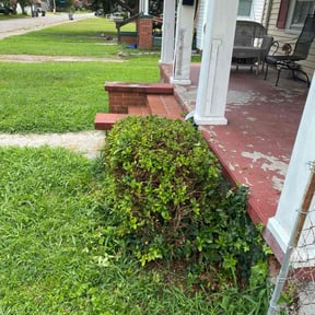 Bush Trimming by Ultimate Landscape Contractor reviewed on March 7, 2022