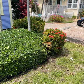 Bush Trimming by Care 1 Lawn reviewed on August 16, 2025