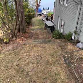 Leaf Removal by Diego Mojica Lawn Care reviewed on November 9, 2025