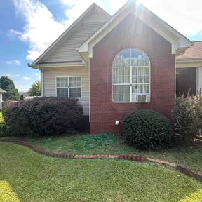 Bush Trimming by The American Dream Landscape   reviewed on November 19, 2025