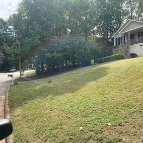 Leaf Removal by "One Man Army" Home Services reviewed on October 23, 2025