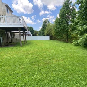 turf maintenance by Finns landscaping reviewed on August 15, 2025