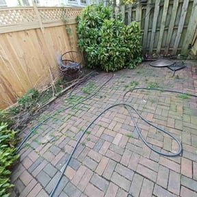 Leaf Removal by Figueroa Landscaping reviewed on September 21, 2025