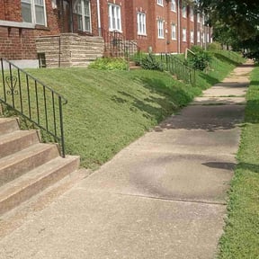 turf care by Mama maintenance reviewed on October 15, 2023