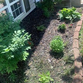 Flower Bed Weeding by Music City Mowers reviewed on August 17, 2025