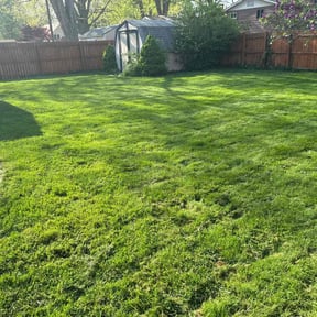 landscaping services by Empire Lawn Care & Tree Trimming reviewed on August 16, 2025