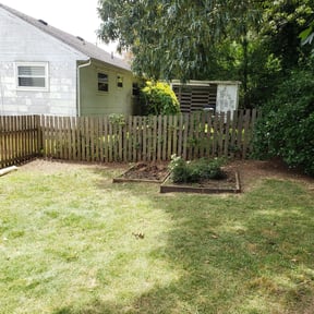 Leaf Removal by Early&#039;s Lawncare reviewed on September 7, 2025