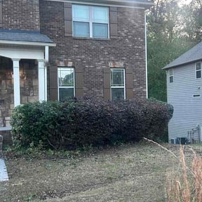 Bush Trimming by Permascapes Lawn&amp;Landscape "where quality takes root" reviewed on April 7, 2026