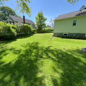 gardening service by Troy's Lawn Care reviewed on November 23, 2025