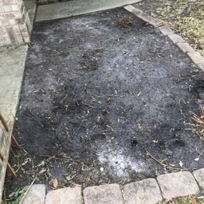 Leaf Removal by Kyleco reviewed on September 27, 2025