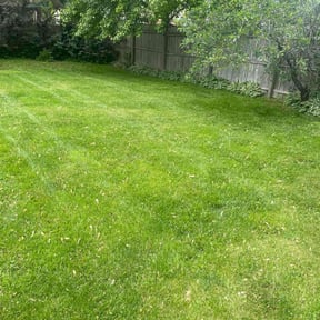 lawn care by Bear Care Lawncare reviewed on August 13, 2025