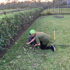 Bush Trimming by Lawn services JAV reviewed on May 17, 2024