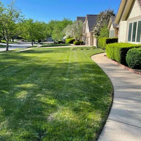 yard service by Family Gang Lawn reviewed on October 19, 2025