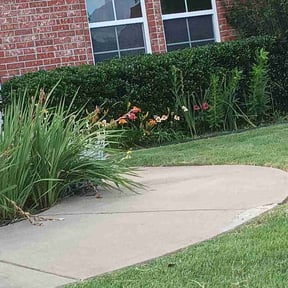 Bush Trimming by Adventure Hair Palace barbershop reviewed on June 14, 2026