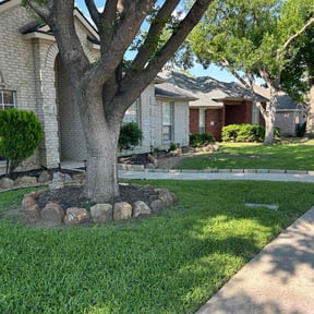 yard service by Mr. Mows It All reviewed on November 19, 2025