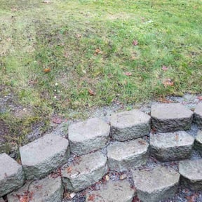 Leaf Removal by Abel Baeza reviewed on September 16, 2025