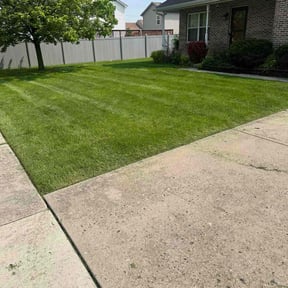 yard work by "Just a different" Lawn care reviewed on August 18, 2025