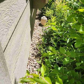 Flower Bed Weeding by Lash lawn &amp; landscaping reviewed on September 12, 2026