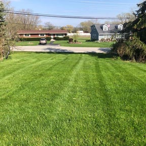 yard service by Lawn care reviewed on August 15, 2025