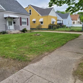 Leaf Removal by The Best Grass reviewed on October 2, 2025