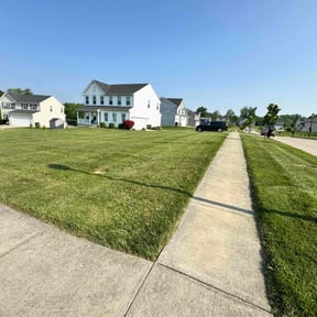 yard care by Abney's lawncare reviewed on May 15, 2025