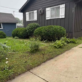 Leaf Removal by Chrisdem lawn care services llc reviewed on August 16, 2026