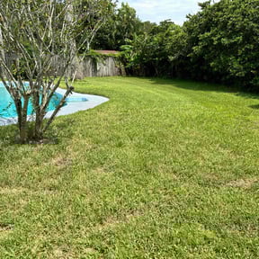 landscape maintenance by E.R. Lawn Care Services reviewed on October 21, 2025