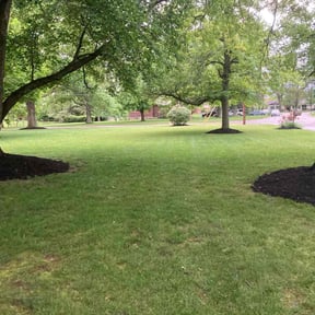 residential landscaping by Hardwood Mulching reviewed on November 25, 2025