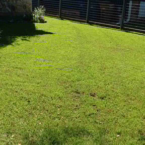 yard care by J&M Landscaping reviewed on August 15, 2025