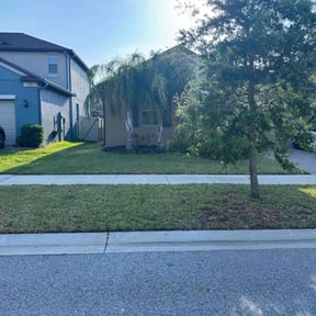 yard care by Amigos lawn care reviewed on August 18, 2025