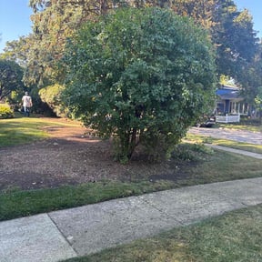 grass cutting by Music City Mowers reviewed on August 8, 2025