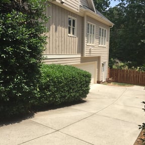 Bush Trimming by CW Unlimited Enterprise LLC reviewed on May 11, 2024
