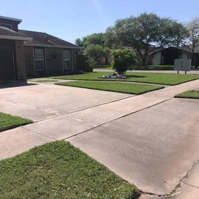 lawn care by Family First Landscaping reviewed on August 21, 2024