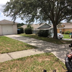 Bush Trimming by Julian's Lawn Care Service reviewed on August 16, 2025