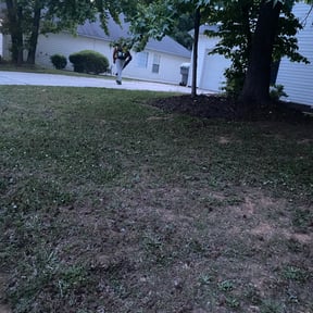 Leaf Removal by Ivan Yard Man Lawn Service reviewed on August 15, 2025