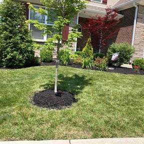 Mulching by Top Dog Lawn Care reviewed on May 6, 2024
