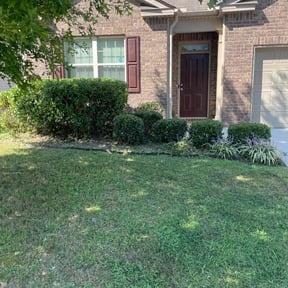 Bush Trimming by CMAssociation reviewed on June 5, 2025