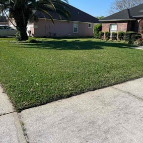 lawn care by K&T Landscape reviewed on May 10, 2024