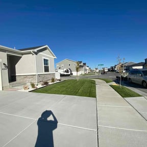 landscaping by Yanez Brothers Landscaping reviewed on August 20, 2025