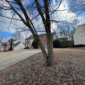 Bush Trimming by KHmowing reviewed on June 5, 2025