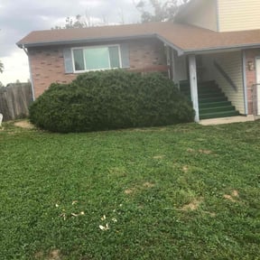 Bush Trimming by Clean Green Lawn Care reviewed on August 19, 2025